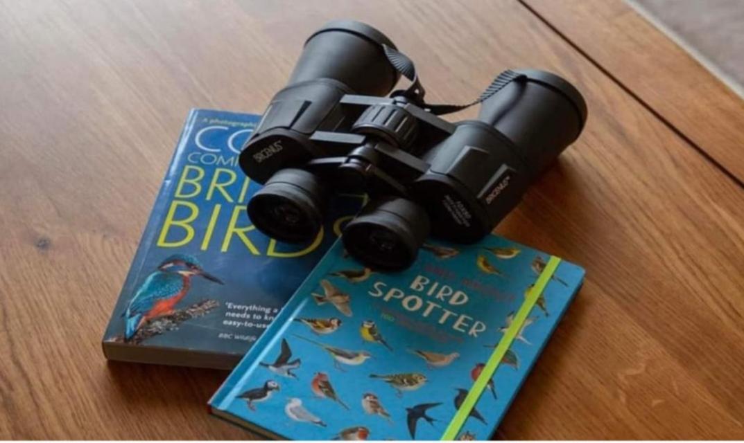 The Gull & Puffin Cresswell Villa Cresswell  Buitenkant foto